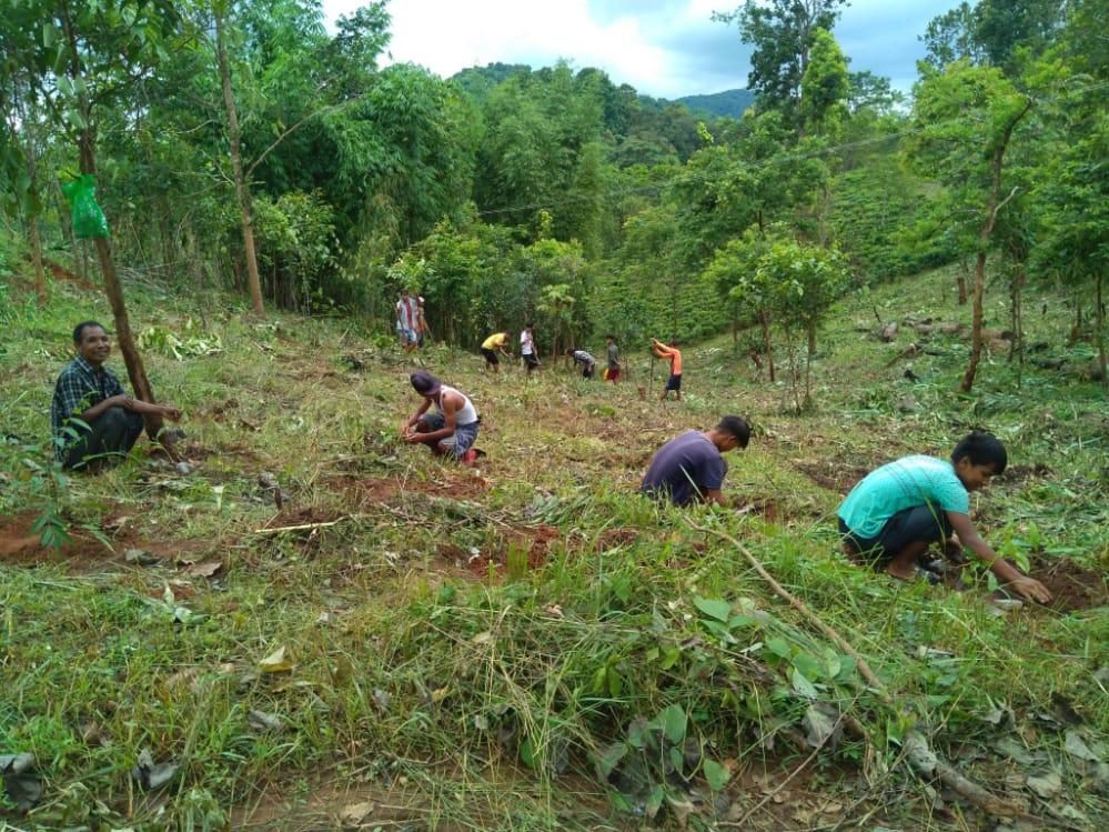 C:\Users\Lavinia Pde\Pictures\Camera Roll\IMG-20220713-WA0039.jpg